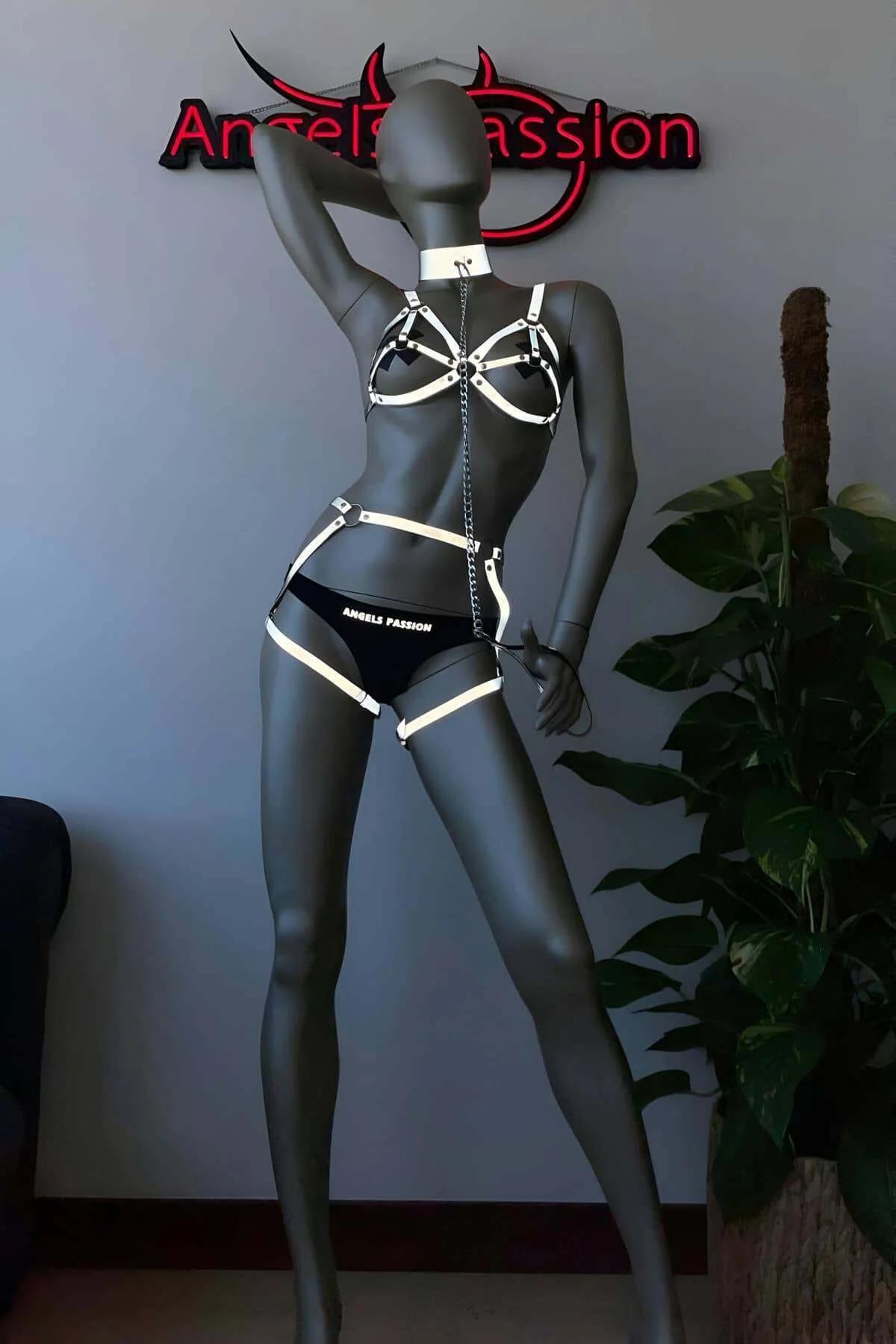 Full four-piece reflective harness set flat lay showing chest cage, waist belt, garters, and collar
