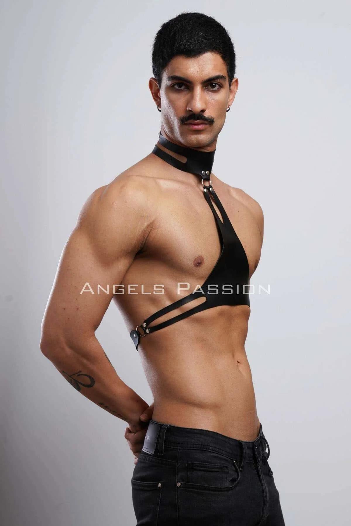 Faux Leather Harness with Collar & Chest Straps