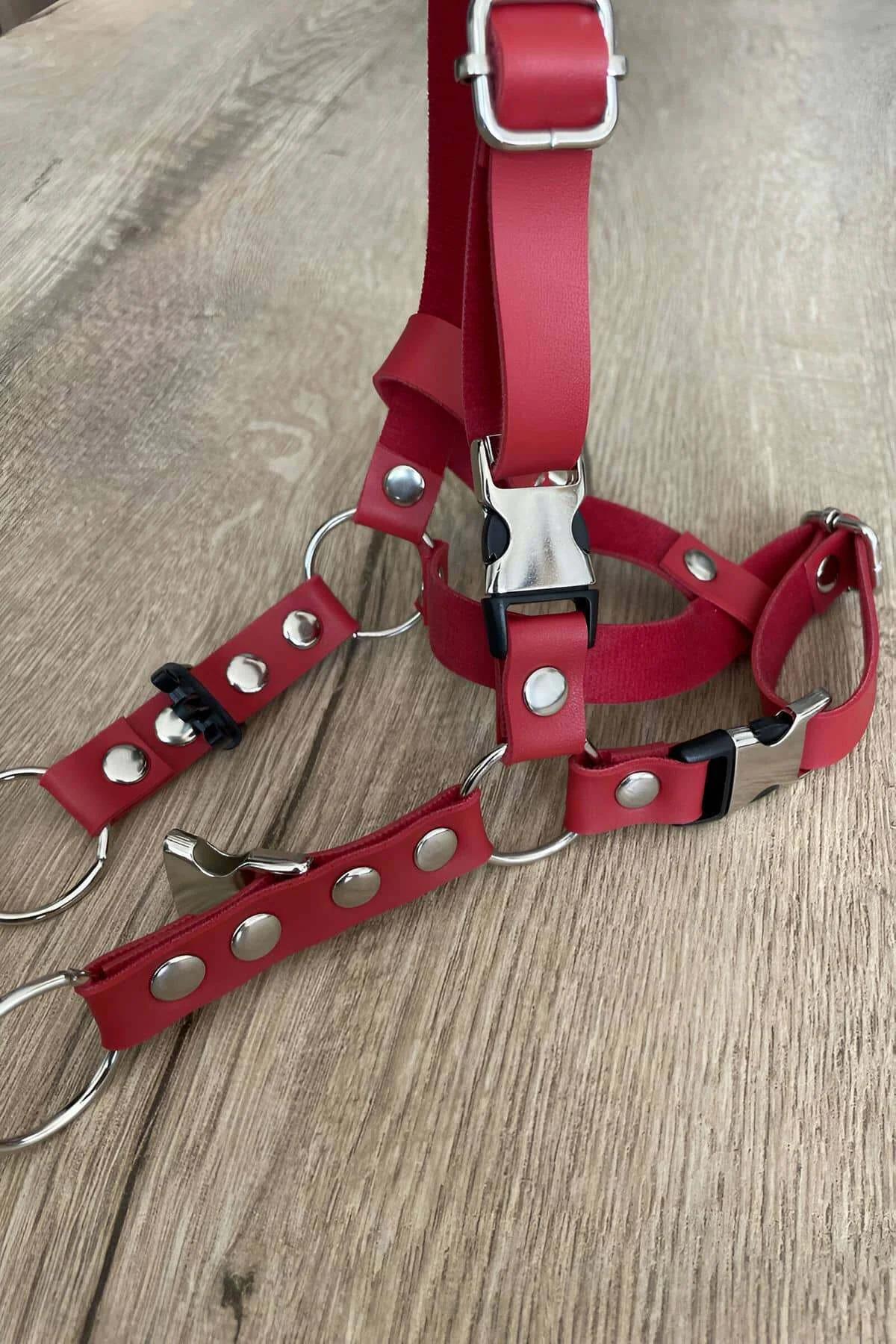 red cat harness showing neck collar and chest strap adjustment points