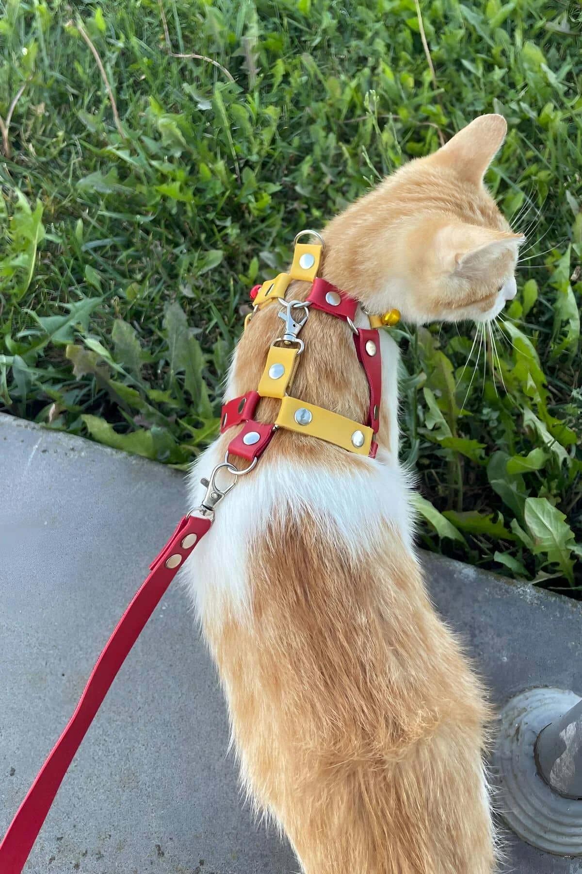 Adjustable slider buckles on red faux leather cat harness strap side view