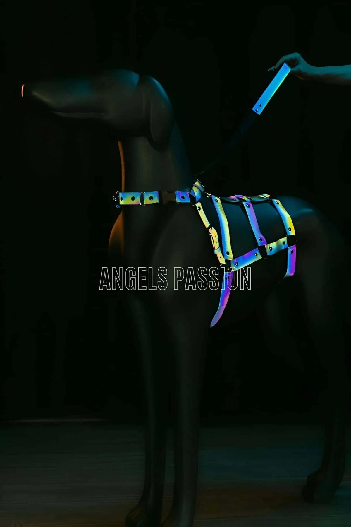 Adjustable, Body-hugging, Beautiful-Looking Specially Designed Reflective Dog Harness - NPD004