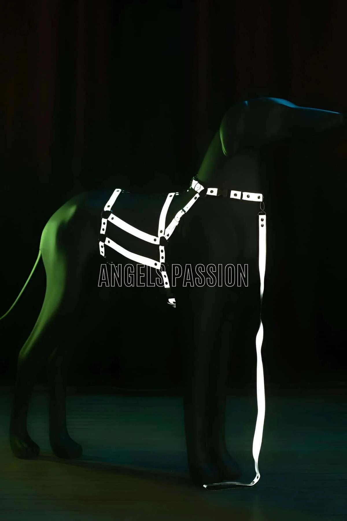 Close-up of silver rivet hardware and chain accent on white reflective harness straps