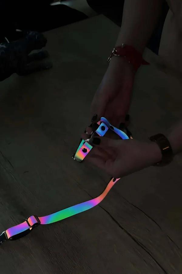 Rainbow reflective body harness iridescent multicolor straps with silver buckles and D-rings