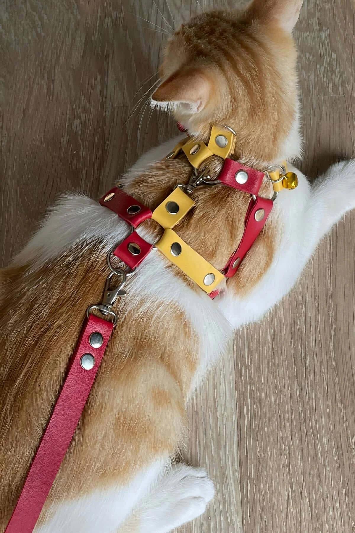 Red and yellow faux leather adjustable cat chest harness with silver D-ring rivets and gold bell on ginger tabby